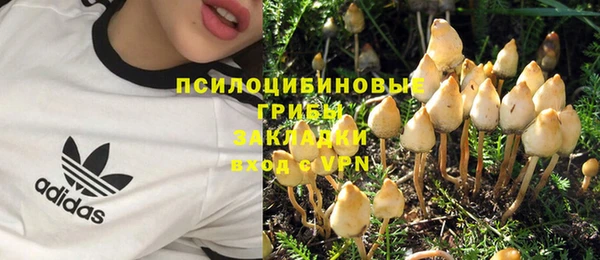 герыч Елабуга