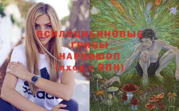 герыч Елабуга