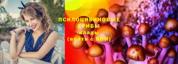 амфетамин Ельня