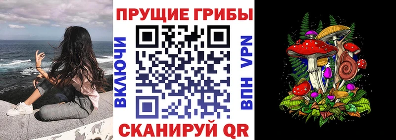 Купить где  Никольское  Псилоцибиновые грибы Magic Shrooms 
